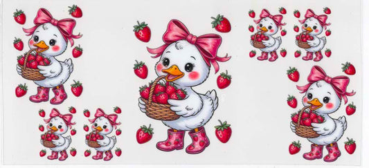 Duck and Strawberries