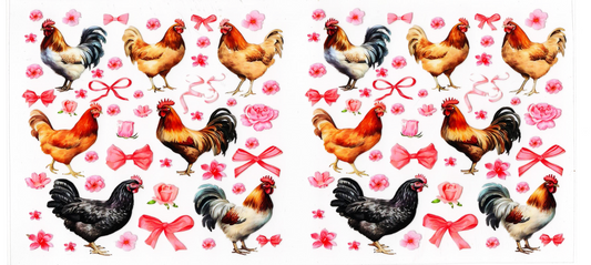 Chicken or Roosters
