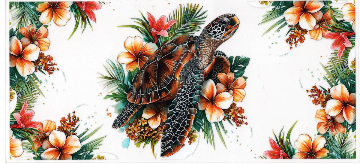Turtle