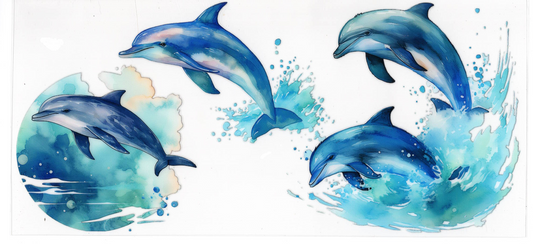 Dolphins - Ocean